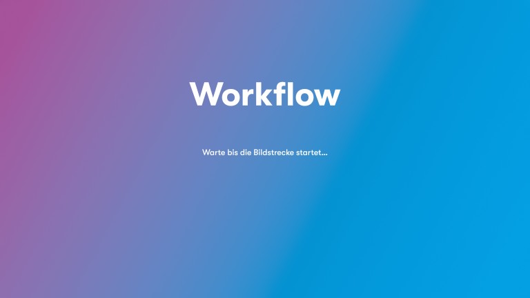  Workflow